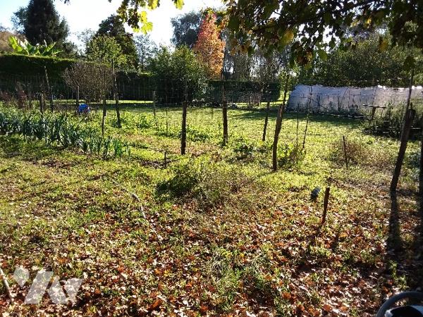 MAISON DE QUALITE PROCHE CENTRE VILLE COUR-CHEVERNY ET A 10 MNS DE BLOIS