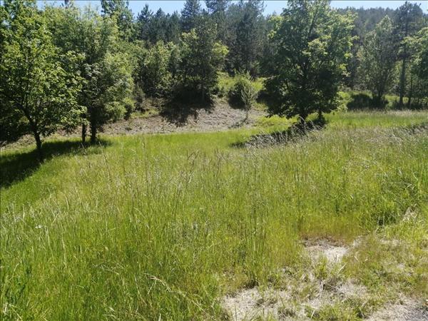 Terrain à vendre |  Luzech |  983 m²