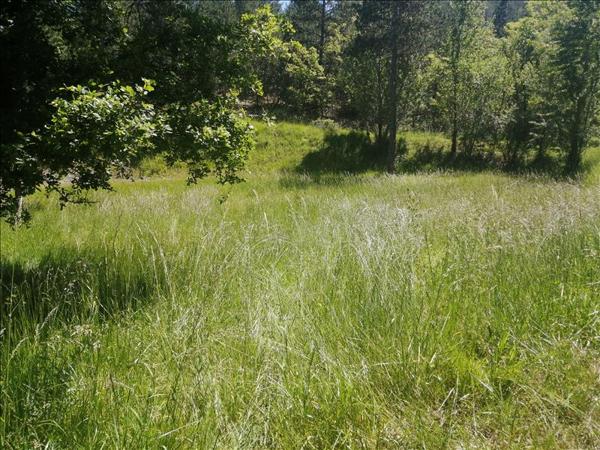 Terrain à vendre |  Luzech |  983 m²