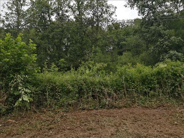 Terrain à vendre |  Luzech |  983 m²