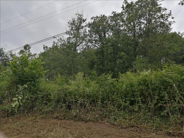 Terrain à vendre |  Luzech |  983 m²