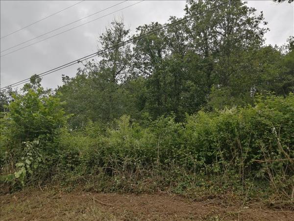 Terrain à vendre |  Luzech |  983 m²