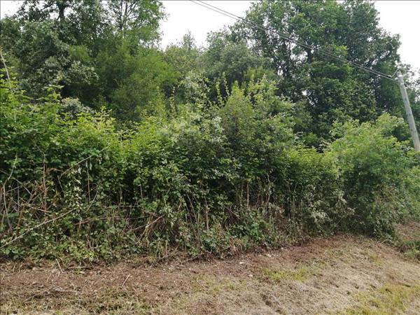 Terrain à vendre |  Luzech |  983 m²