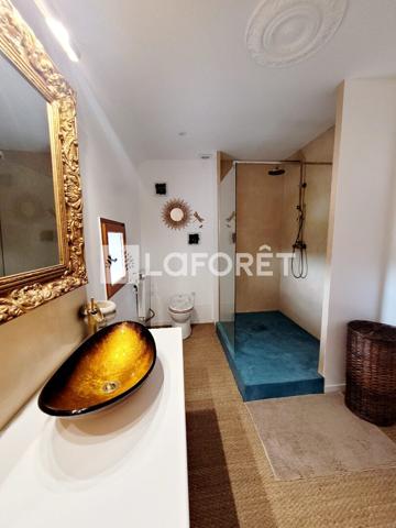 Achat maison Dordives - 7 pièce(s) - 298 m² - 450 000 €