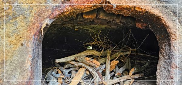 Propriété de caractère à vendre 17 pièces AUBIN (12)