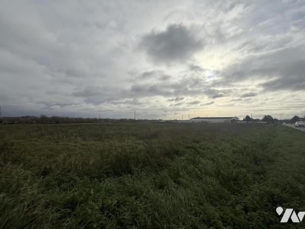✨NOUVEAUTE✨ À VENDRE – TERRAIN 9 000 m² – AIRE-SUR-LA-LYS - ( bâtiment professionnel )