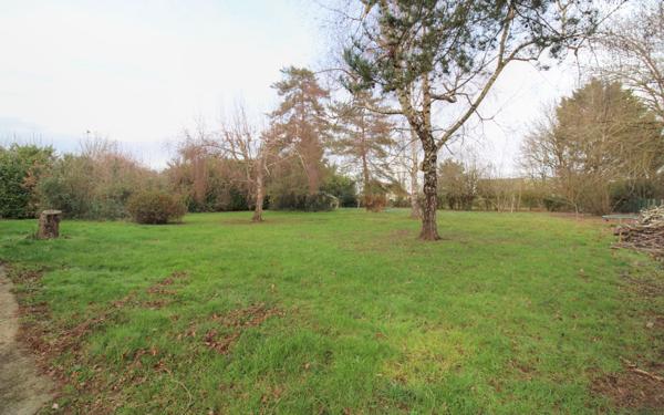 Maison à vendre    7 pièces •  Château-Renard