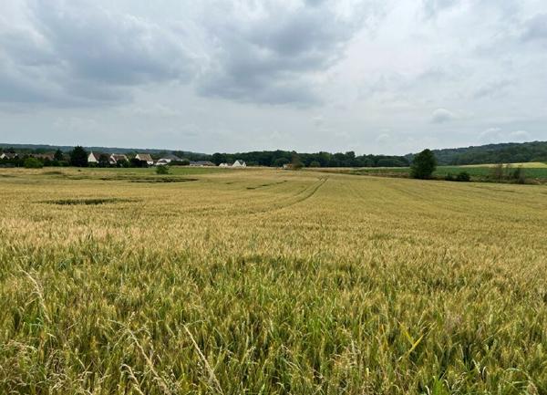 Terrain à vendre    Sacy-le-Grand