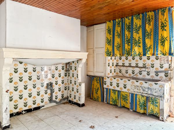 Châteaurenard (13160) Ensemble immobilier mas+maison sur 1ha6 de terrain