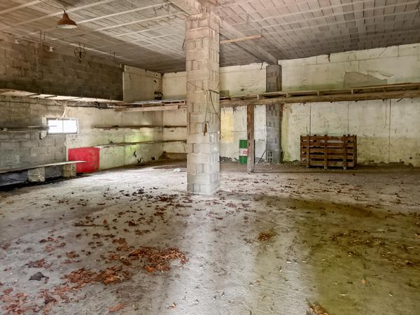 Châteaurenard (13160) Ensemble immobilier mas+maison sur 1ha6 de terrain