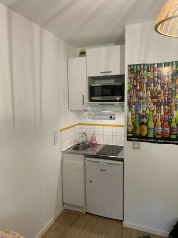 Location Appartement 1 pièces 19 m2 à Darnétal