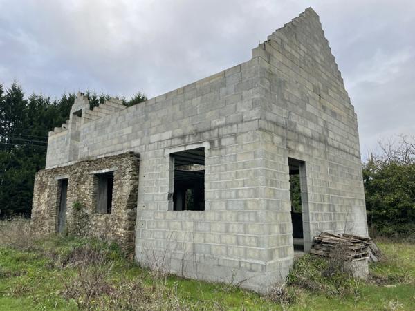 Sucé-sur-Erdre (44240) SUCE SUR ERDRE MAISON A RENOVER