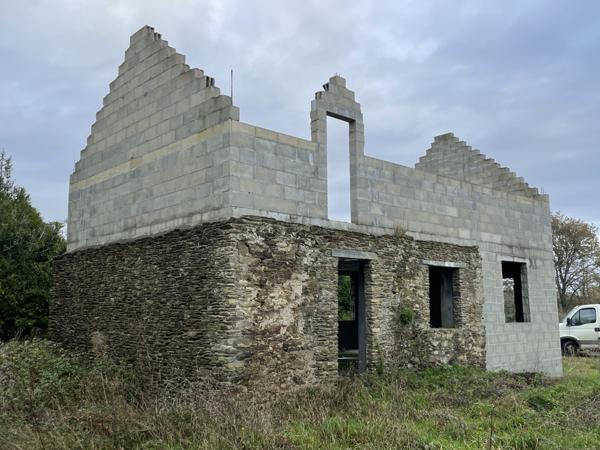 Sucé-sur-Erdre (44240) SUCE SUR ERDRE MAISON A RENOVER