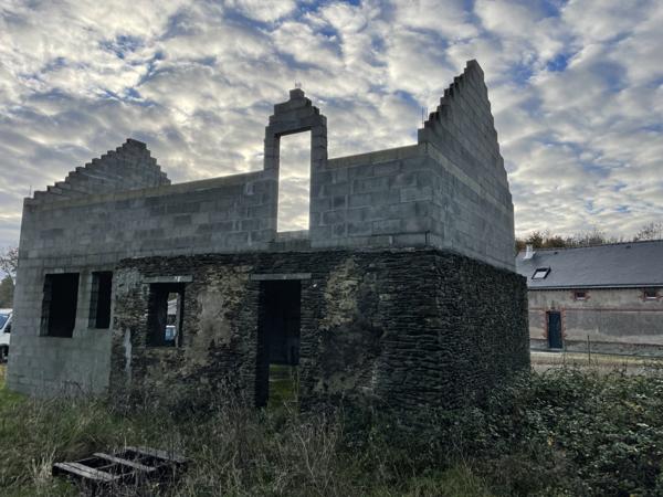 Sucé-sur-Erdre (44240) SUCE SUR ERDRE MAISON A RENOVER