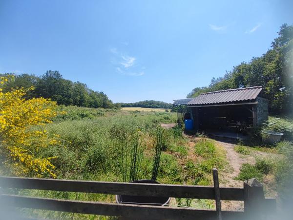 Maison Le Poire Sur Vie 6 pièce(s) - Idéal si vous avez des animaux !!