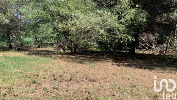 Terrain à vendre 