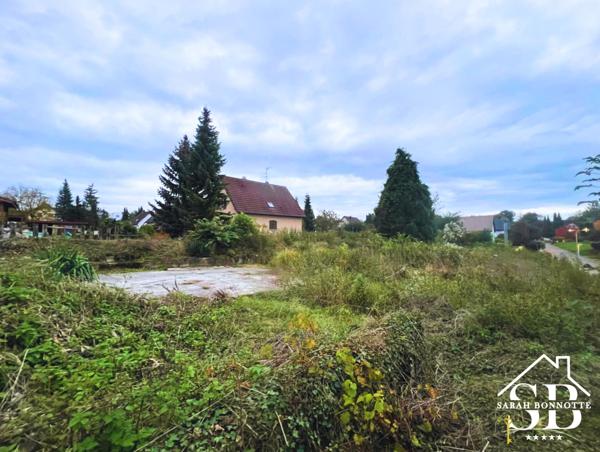 Blotzheim (68730) REMIS EN VENTE : LIBRE CONSTRUCTEUR, Terrains constructibles : 692 m2 / 612 m2 ou l'ensemble 13,04 ares