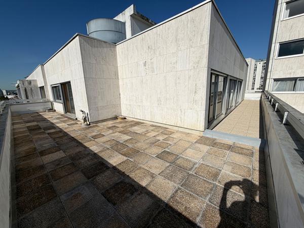 Appartement Paris 15, terrasse panoramique 50m² au dernier étage