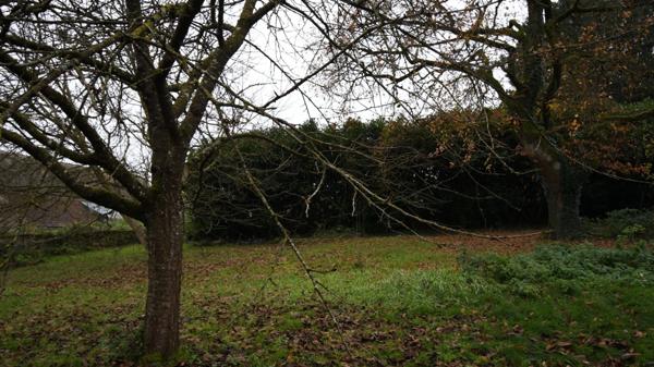 Maison à vendre 3 pièces proche de GUERIGNYY (58)