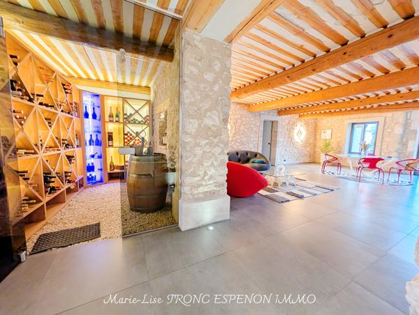 Maison 15 pièces - 471 m² Bien prestige