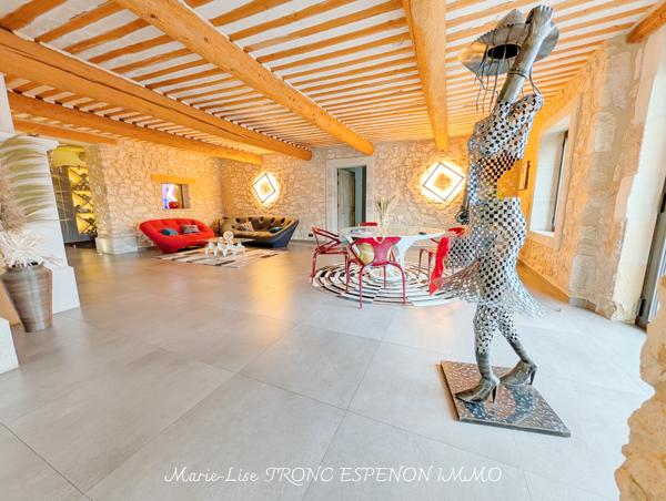 Maison 15 pièces - 471 m² Bien prestige