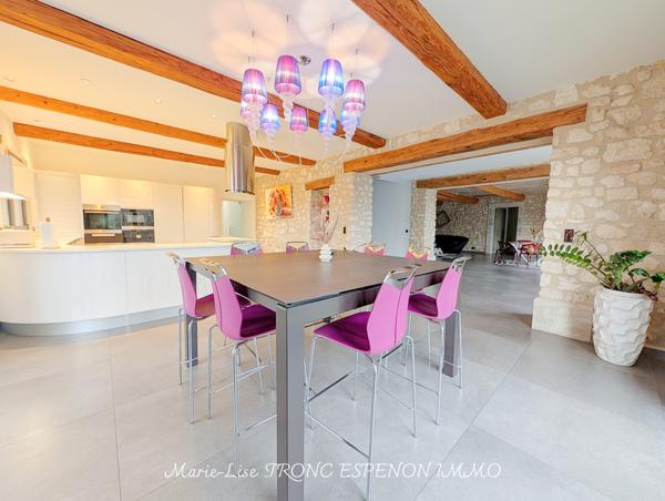 Maison 15 pièces - 471 m² Bien prestige