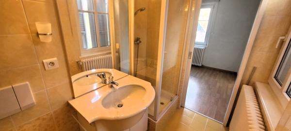 Soultzeren (68140) Appartement d'exception T3/4 136 m² avec local indépendant, jardin, garage, parking, sans travaux