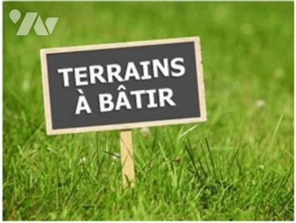 Terrain M Belin 