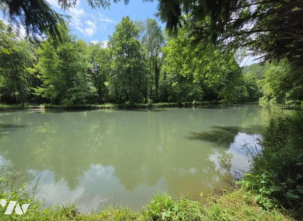 À vendre – Magnifique étang de loisirs sur terrain de 6 950 m² à Monthodon (37110)