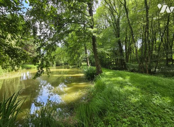 À vendre – Magnifique étang de loisirs sur terrain de 6 950 m² à Monthodon (37110)