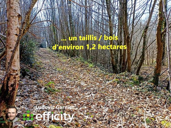 Maison 4 pièces - 108 m²