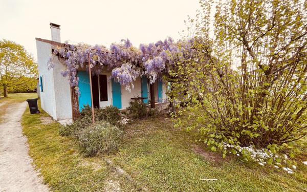 Maison à vendre    6 pièces •  Les Mathes