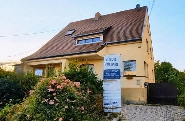Immeuble local commercial (ancienne clinique vétérinaire) et logement spacieux