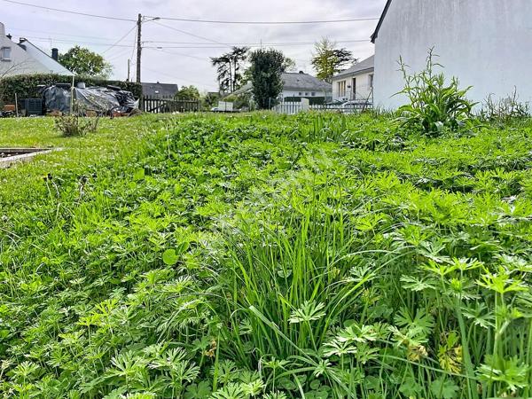 RARE DANS LE SECTEUR : En vente ! TERRAIN BOURG ORVAULT de 452m2