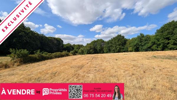 EXCLUSIVITE - Terrain à bâtir d'environ 8900m² - Secteur Hippodrome Pompadour (19230)
