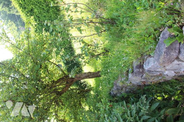 Maison individuelle sur sous-sol avec 5 chambres sur un terrain paysagé d'env. 630m²