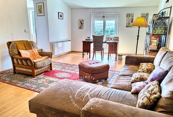 Maison de caractère vue sur les Pyrénées avec studio indépendant