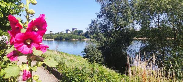 À vendre - T5 et plus, 5 pièces situé à Saint-Cyr-sur-Loire (37540)