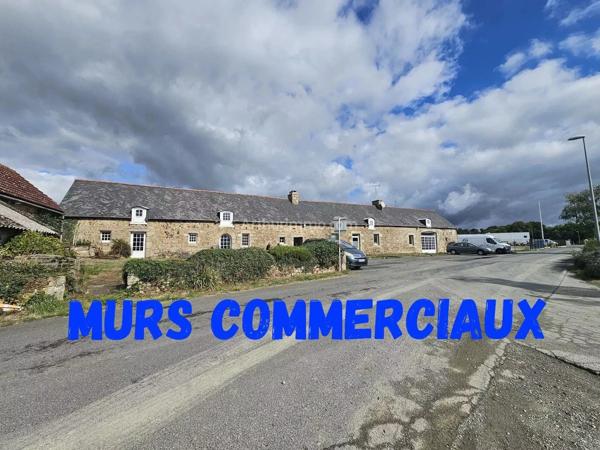 Vente                                                      Local commercial
                        
                                         226 m2                     à Ploumagoar
