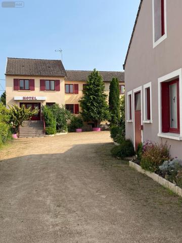 Fonds et/ou murs commerciaux à vendre à Digoin en Saône-et-Loire (71160), ref : PRO-E-DI