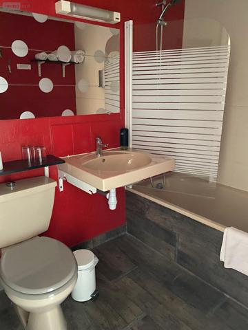 Fonds et/ou murs commerciaux à vendre à Digoin en Saône-et-Loire (71160), ref : PRO-E-DI