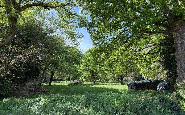 Maison à vendre    9 pièces •  Herbignac