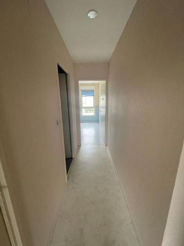 Appartement Saint Jean De Braye 3 pièce(s) 64.11 m2