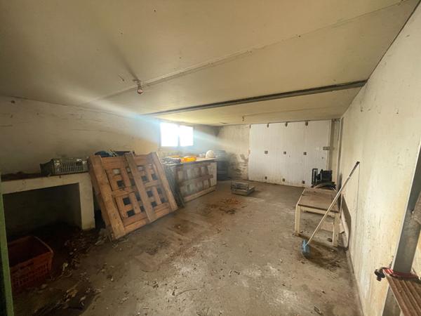 Maison avec 3,8 Ha de Terres Agricoles - Saint Hilaire De Riez