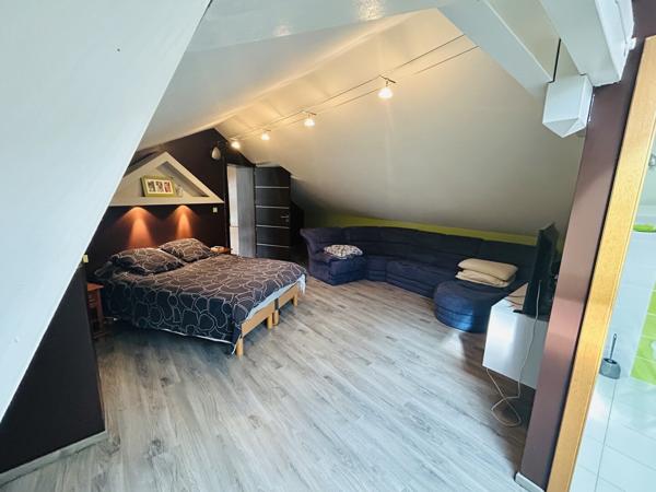 VOSGES DEMEURE DE PRESTIGE AVEC LOCAL PROFESSIONNEL