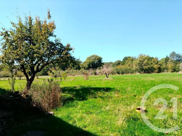 Maison à vendre  6 pièces - 179,08 m2 LURCY LEVIS - 03