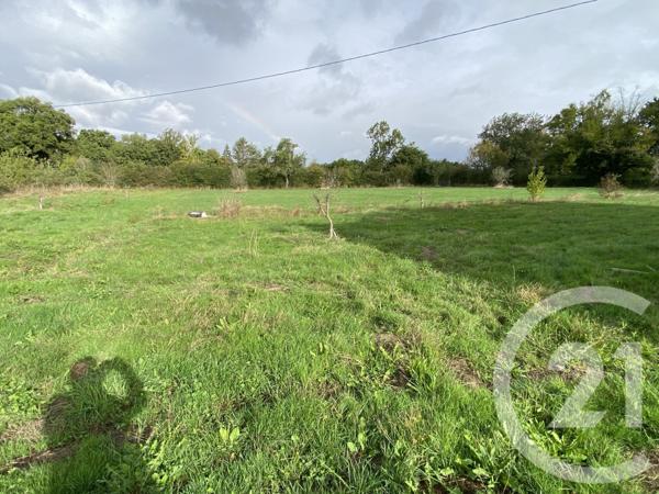 Maison à vendre  6 pièces - 179,08 m2 LURCY LEVIS - 03