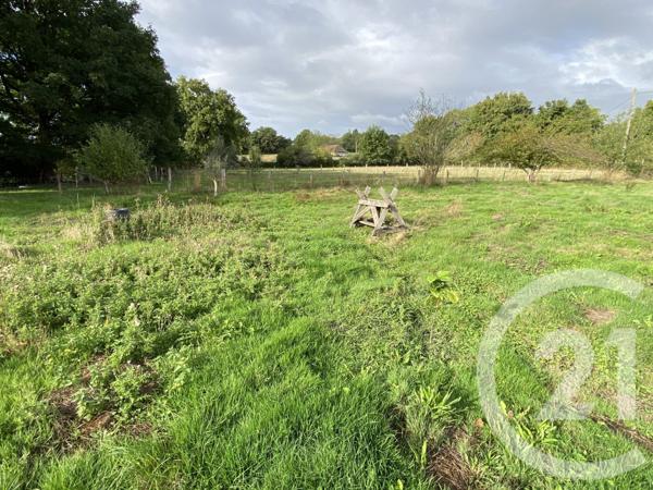 Maison à vendre  6 pièces - 179,08 m2 LURCY LEVIS - 03