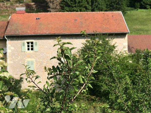 Jolie maison en pierres, habitable de suite, sur 1600m² de terrain clos