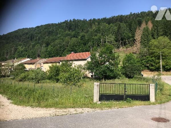 Jolie maison en pierres, habitable de suite, sur 1600m² de terrain clos